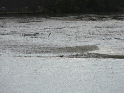 20110613 175603